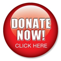 donate